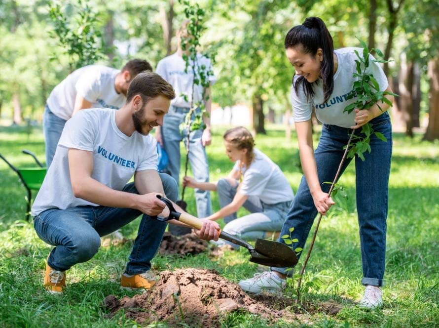 young volunteers planting trees in green park together